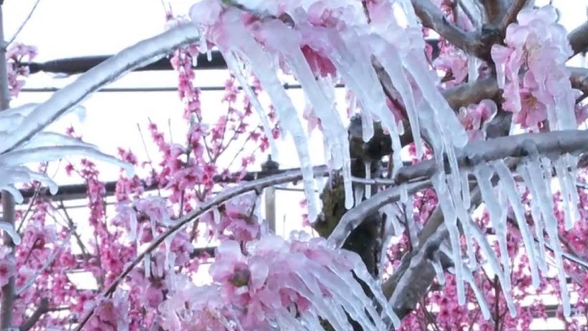 val scumpiri vreme rece