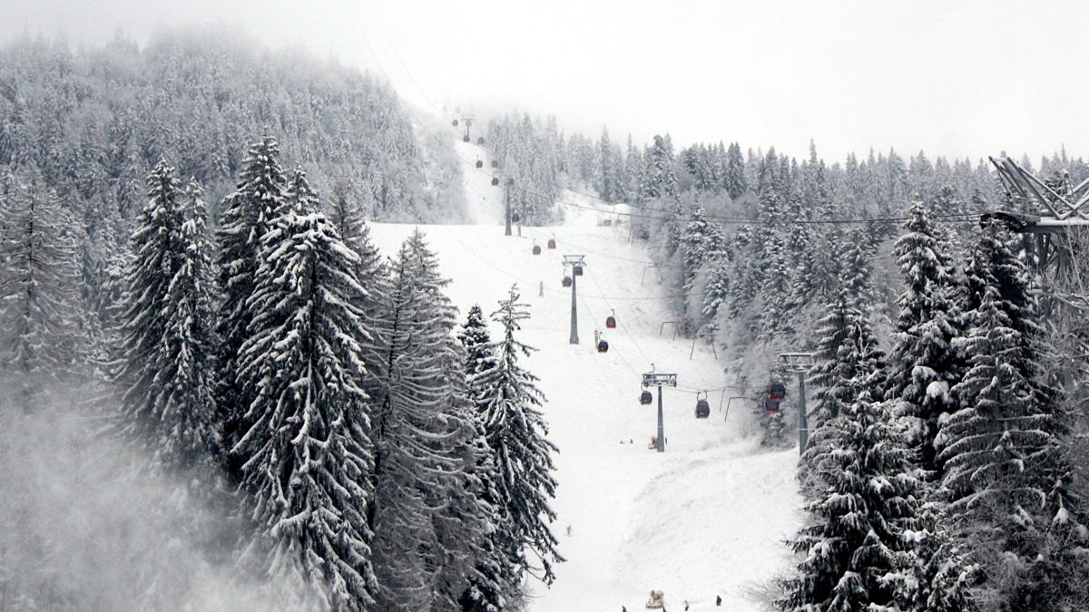 partii brasov poiana brasov redeschise