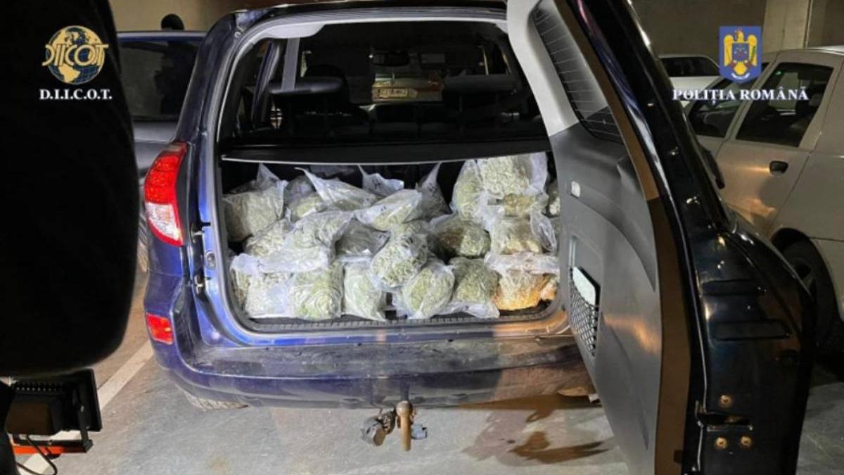 barbat tranport droguri 50 kilograme cluj