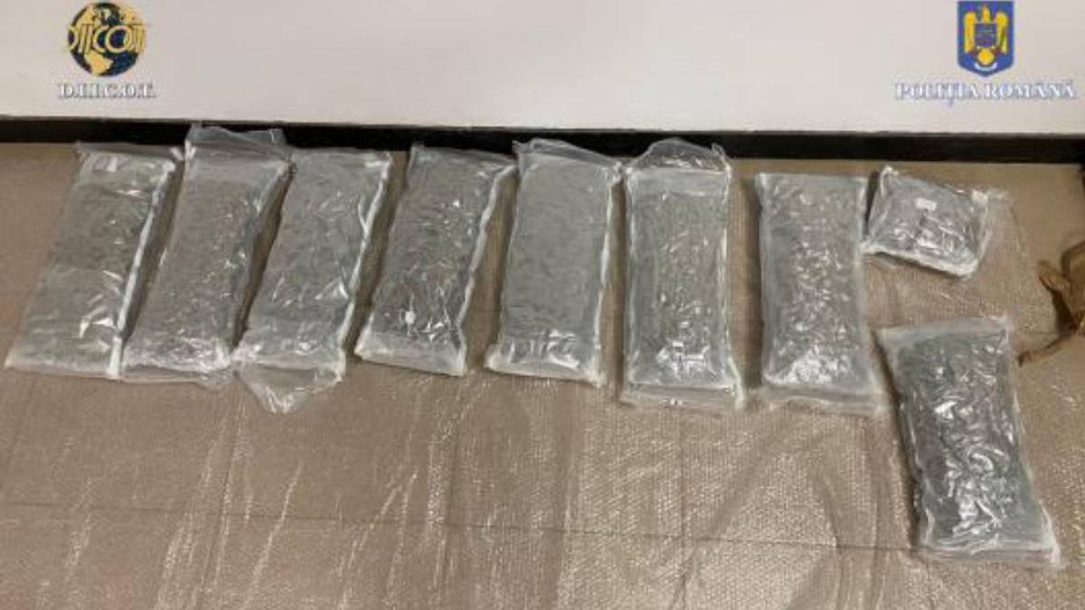 dealeri prinsi flagrant droguri timisoara