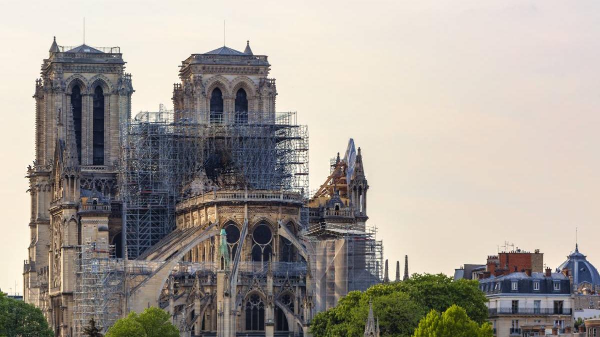 catedrala notre dame