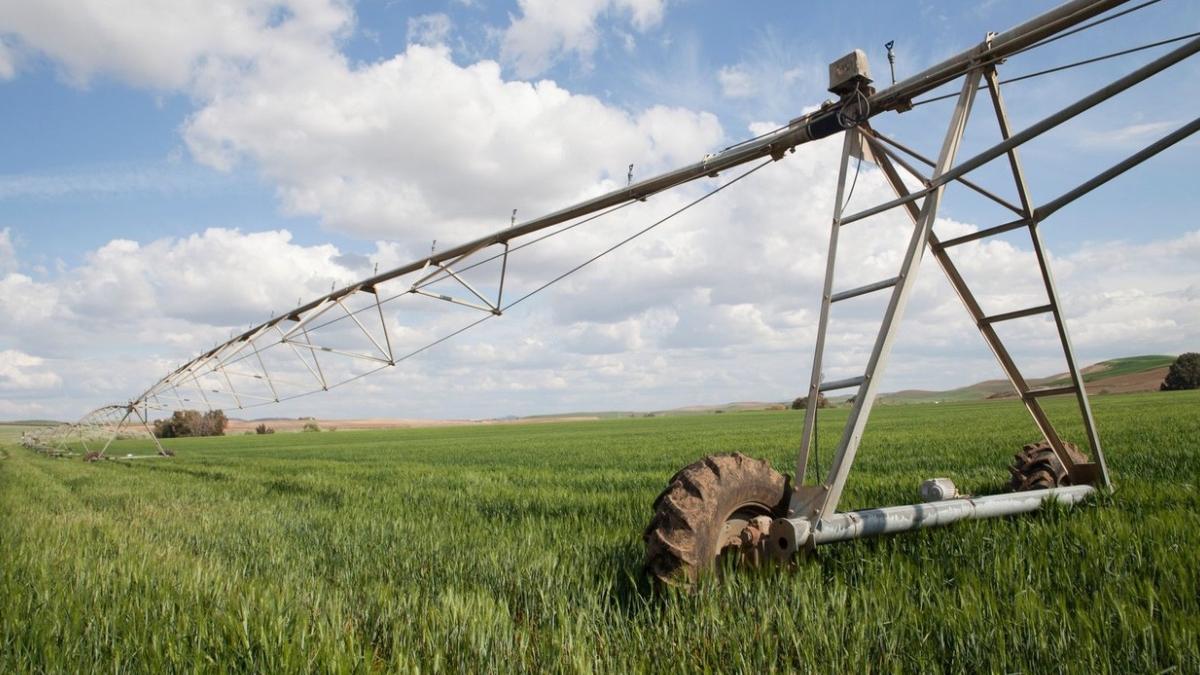 fermierii propun pact national sectorul agroalimentar demisia in alb petre daea