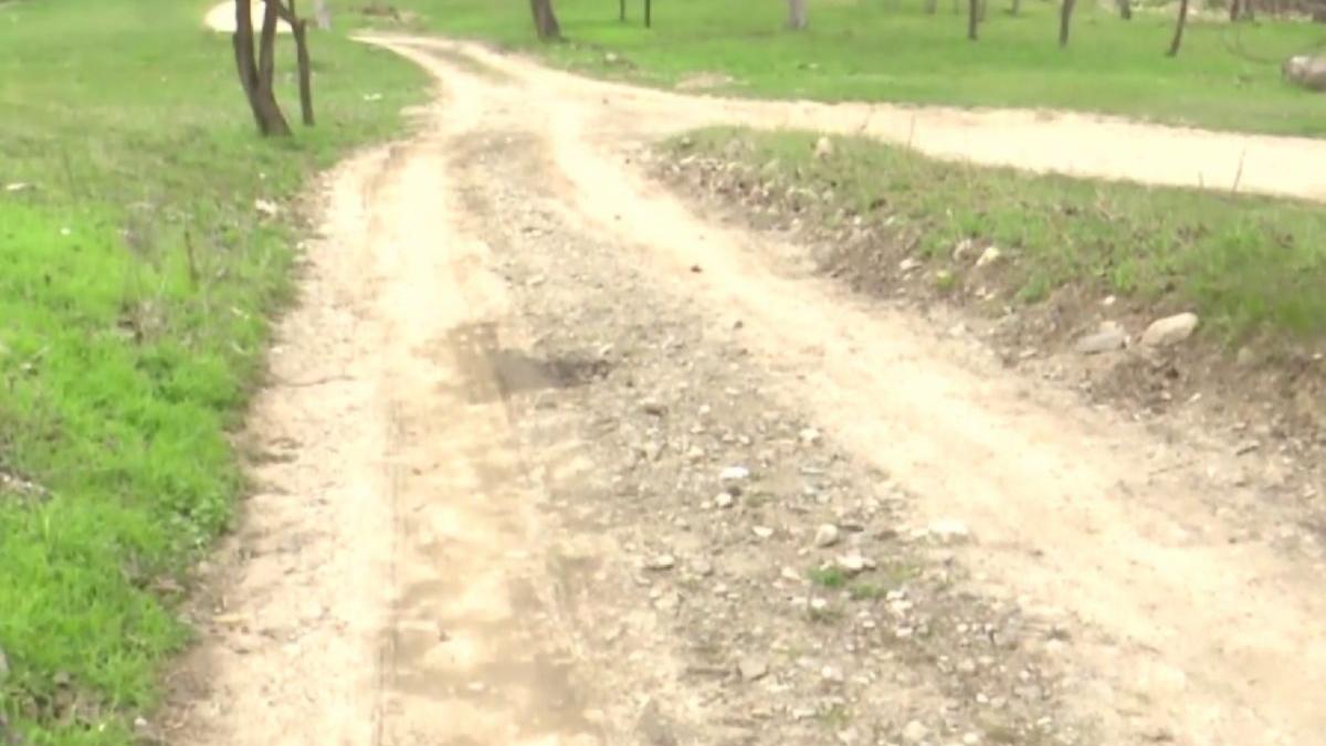 primarie bacau strada asfalt instanta proces