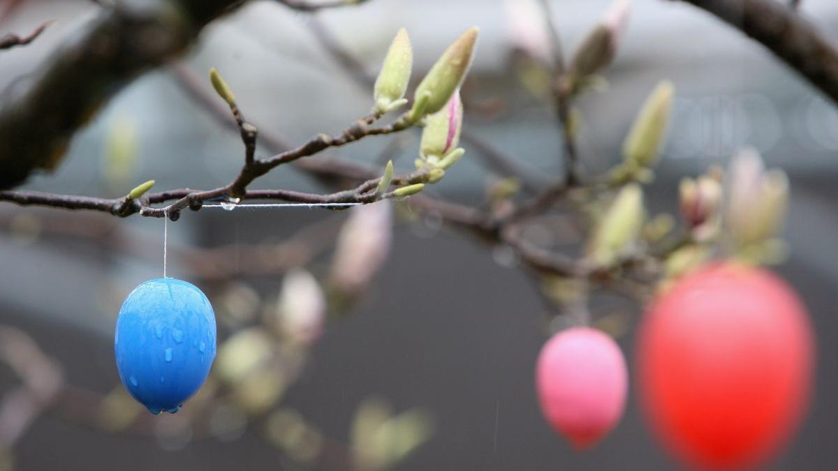 prognoza meteo paste vremea