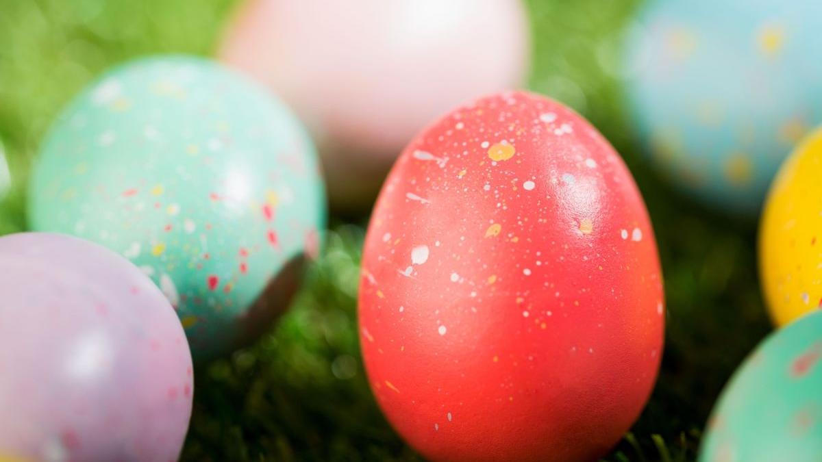 vopsea de oua 11 e uri 200 aditivi