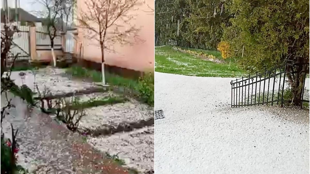 cod galben ploi vijelii grindina