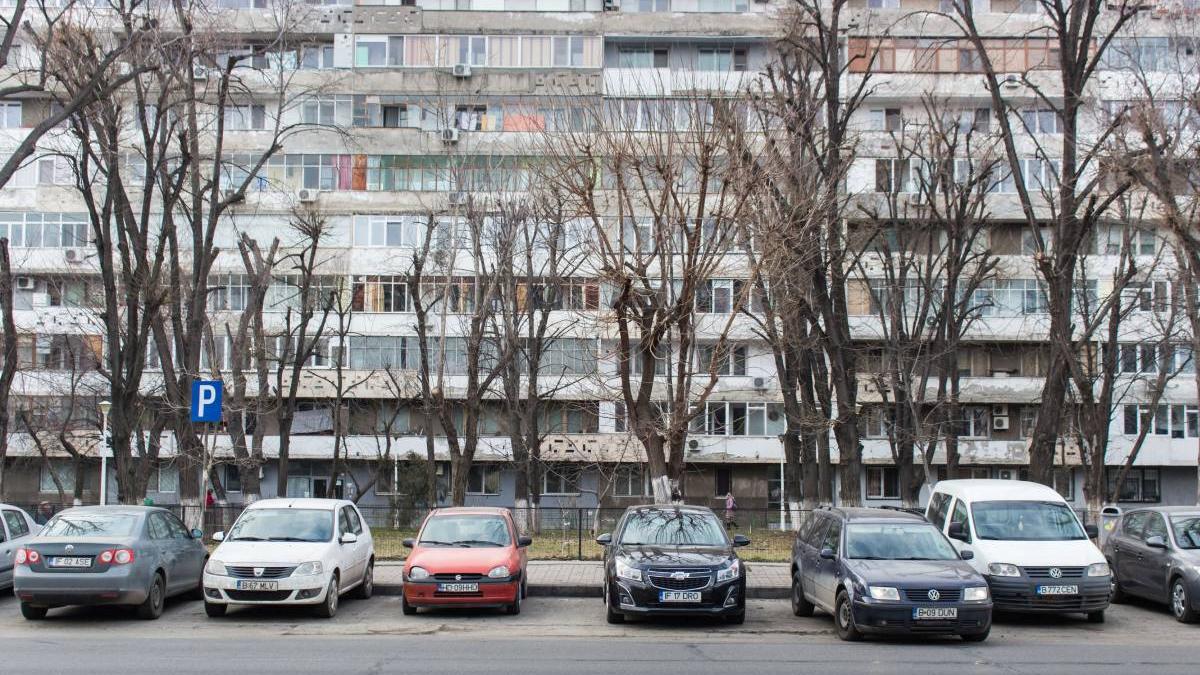 amenzi curatenie gradina proprietari apartamente bloc