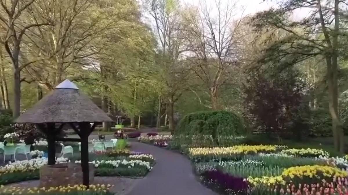 cea mai mare gradina de flori din lume olanda keukenof