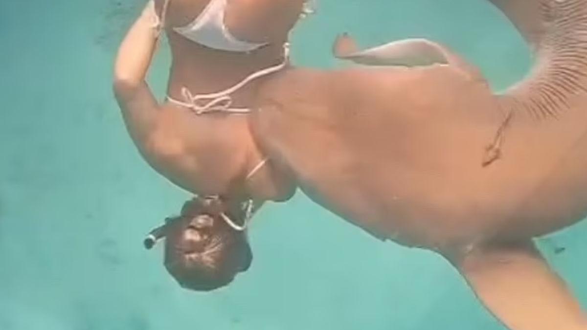 muscata rechin maldive scufundari