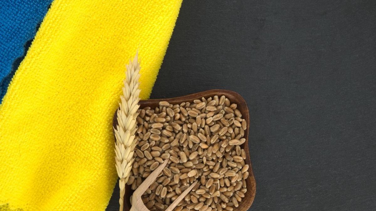 psd propune suspendare importuri produse agroalimentare ucraina