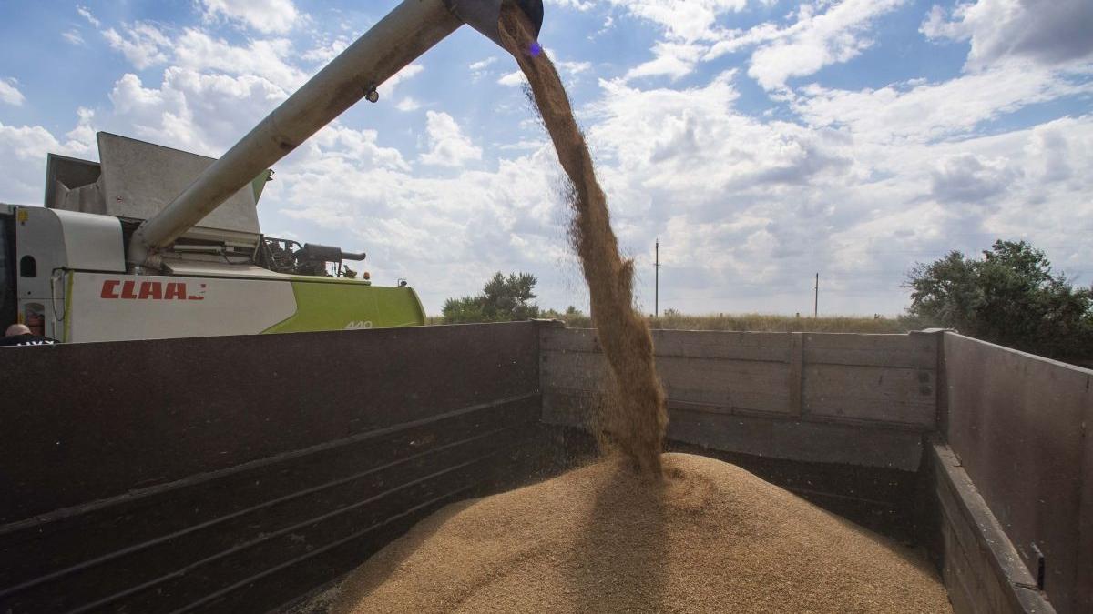 romania stat vecin ucraina interzis importuri cereale