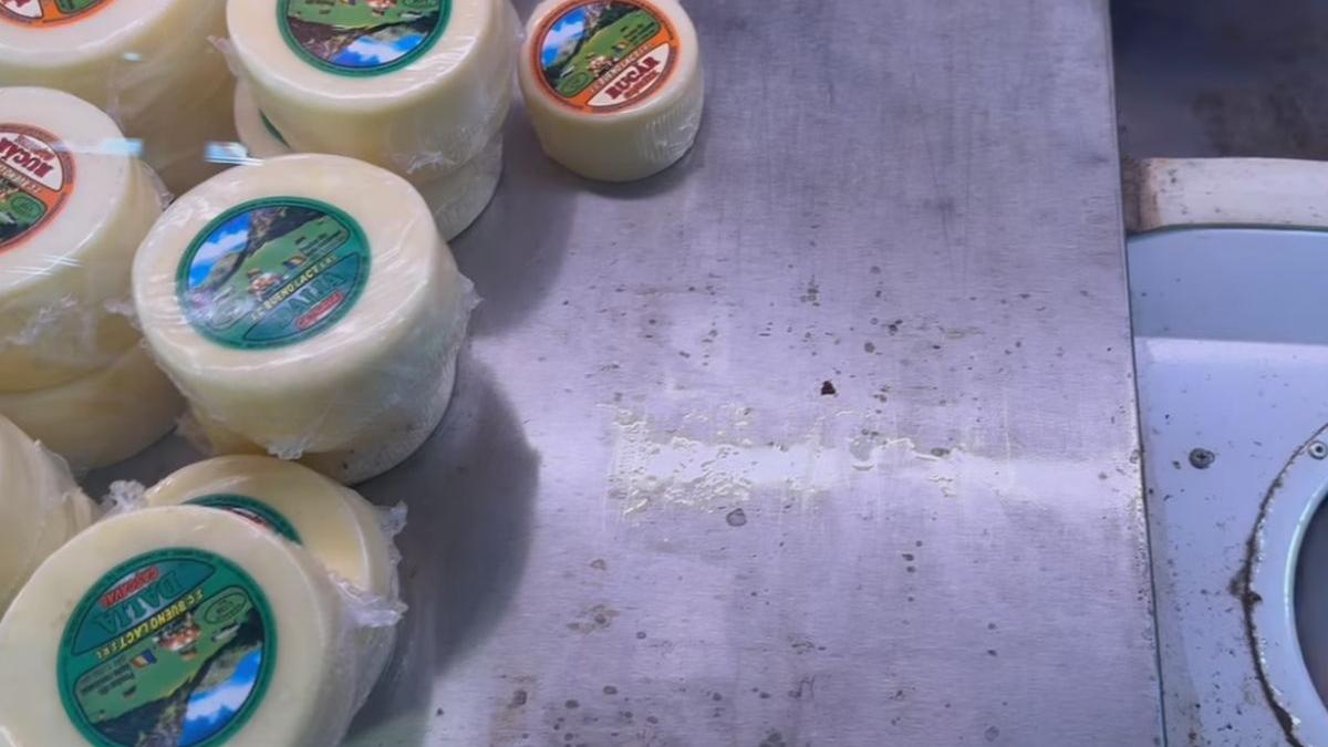 amenzi anpc piata gorjului piata veteranilor