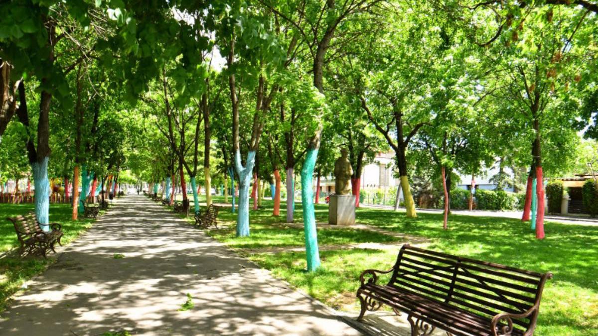 de se se vopsesc copacii cu var primavara