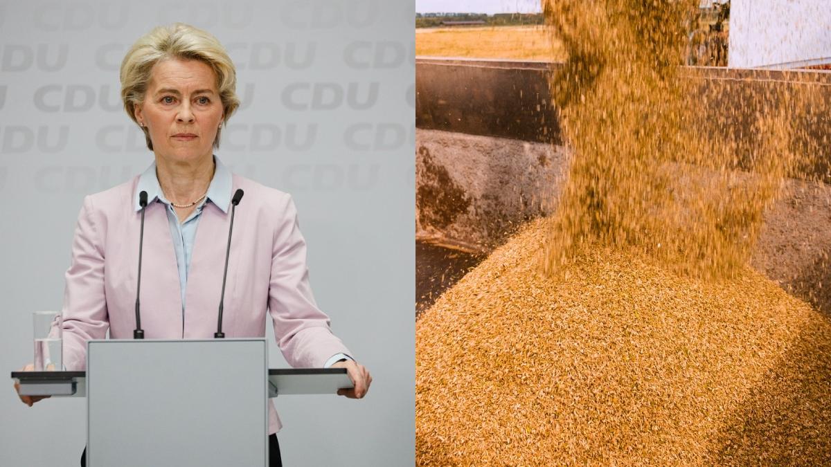 raspuns ursula von der leyen romania scrisoare cereale ucraina