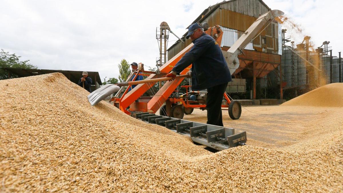 romania cel mai mare importator mondial cereale ucraina pagube sute milioane de euro