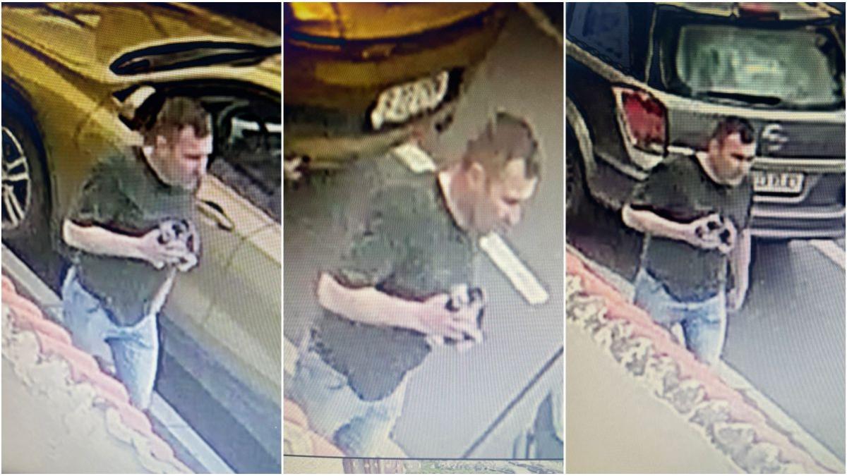 el este atacator patron club dorobanti