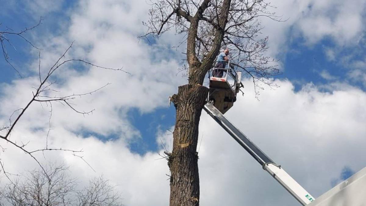 barbat arad blocat nacela 20 metri inaltime