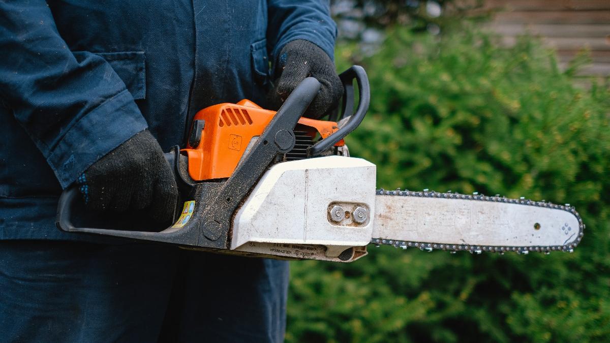 brazi plantati distanta mica gard motiv cearta vecini judecatori