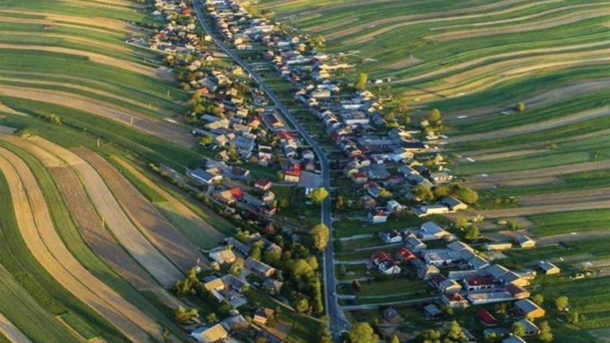 sat toti locuitorii vecini aceeasi strada polonia