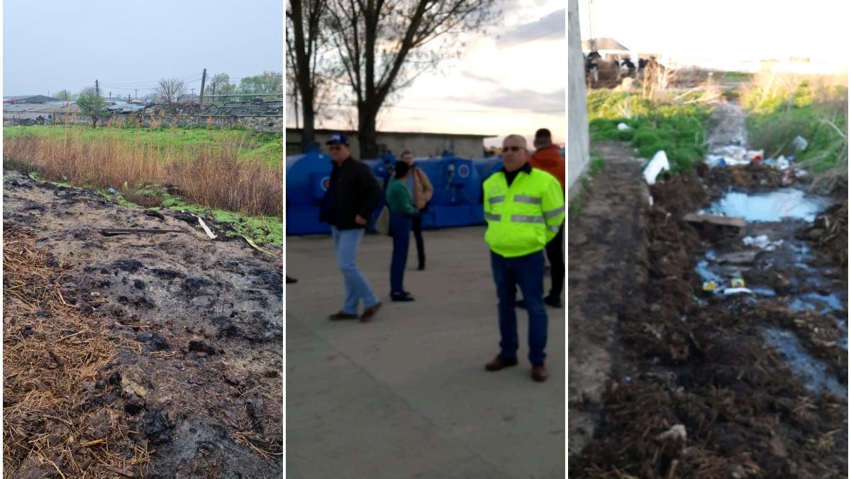 primar acuzat batut sechestrat comisari garda de mediu control ferma fiu tulcea