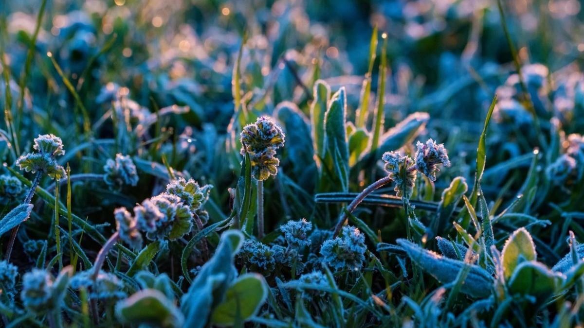 informare meteo frig 27 aprilie 2023 vreme rece vant bruma