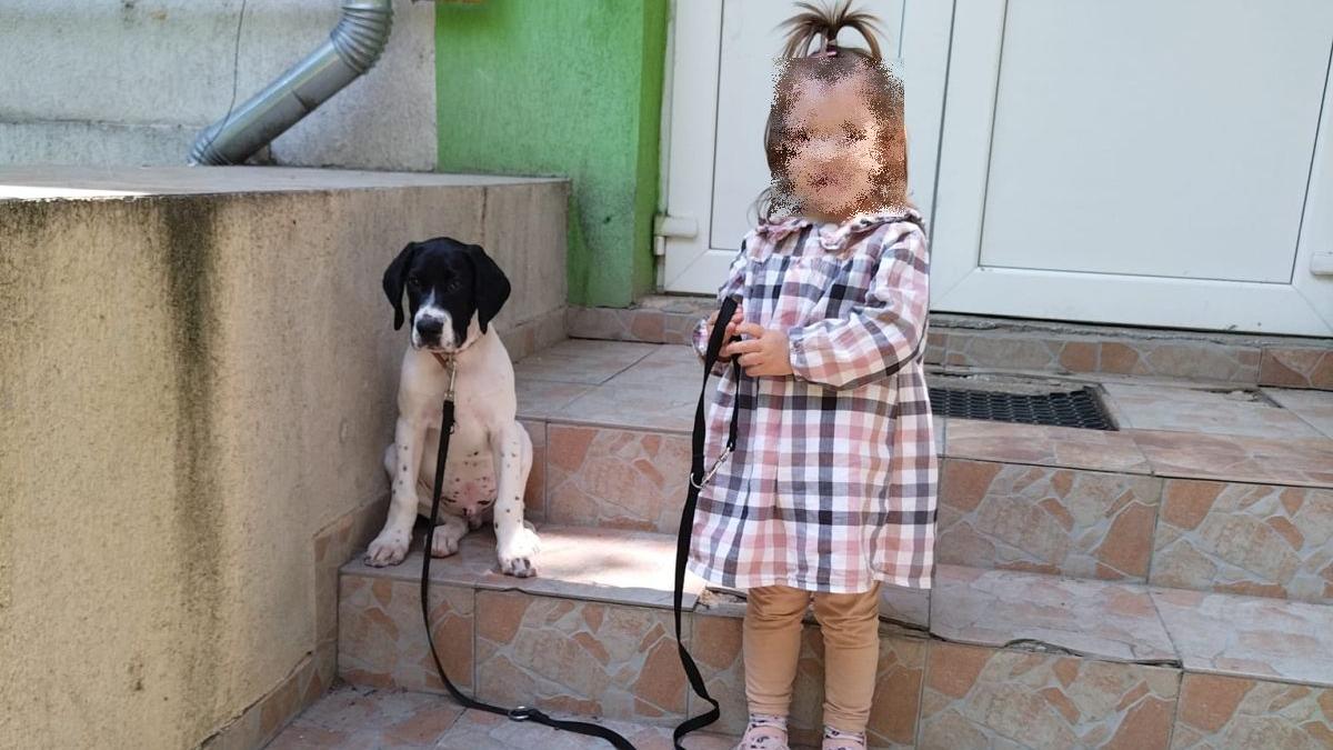 raisa fetita moarta camera garda timisoara