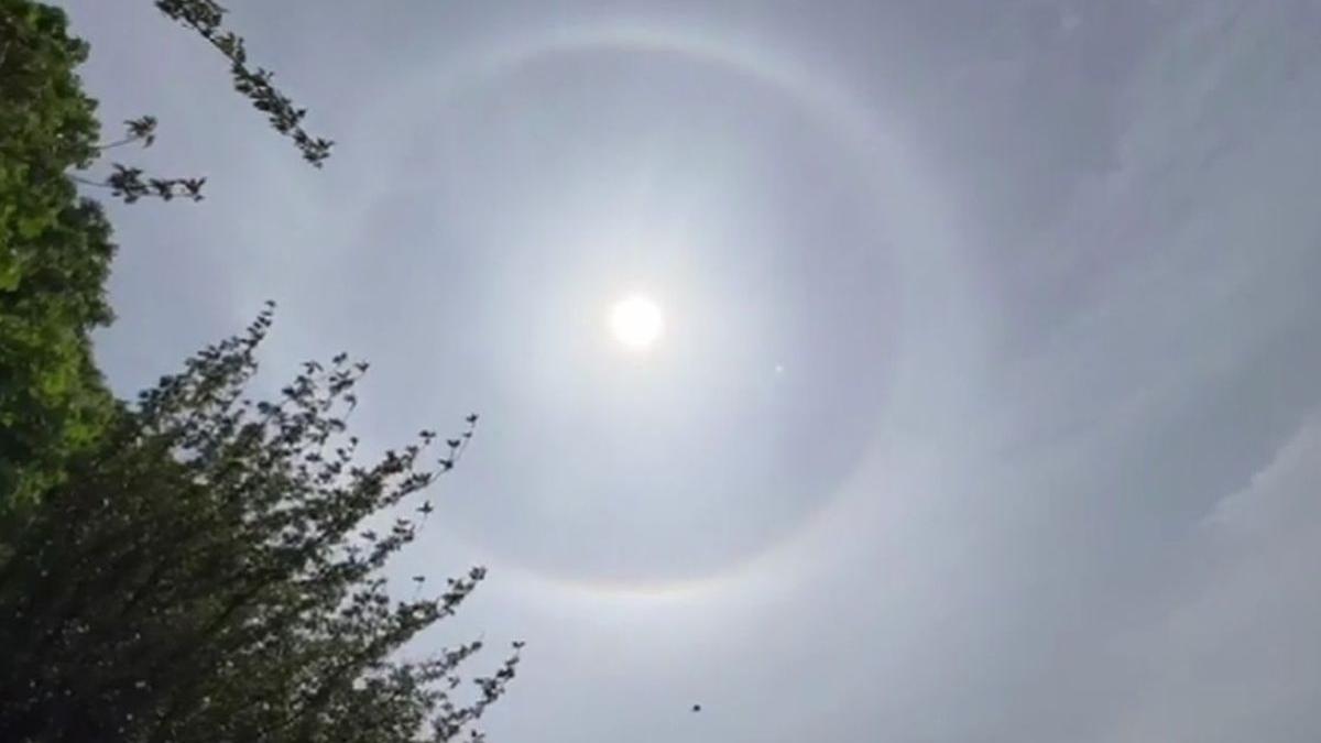 fenomen cer vizita papei francisc ungaria o data la zece ani elena mateescu