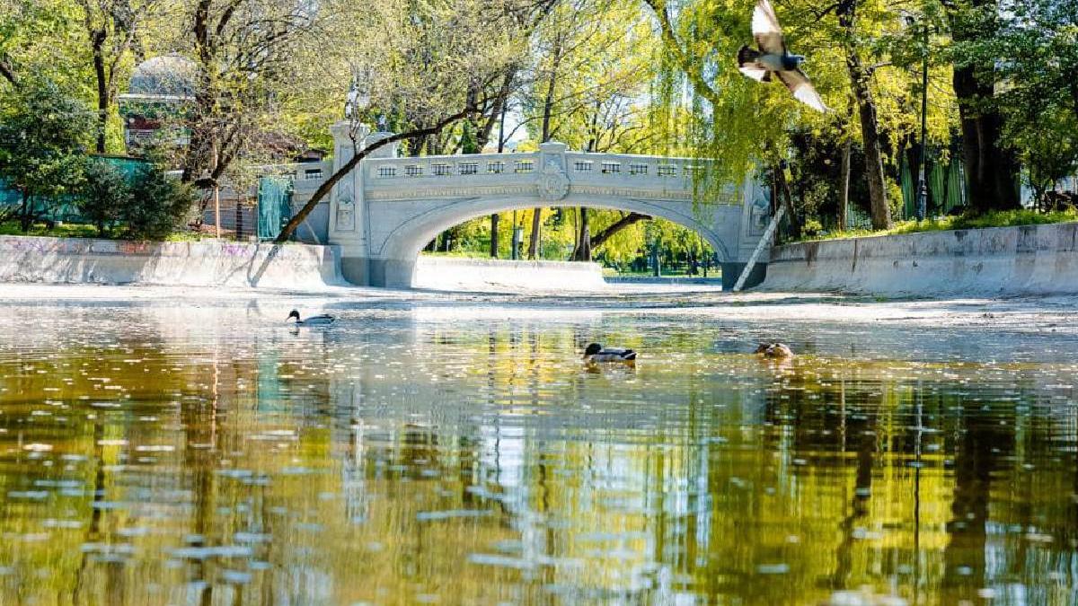 primele imagini pod reabilitat cismigiu