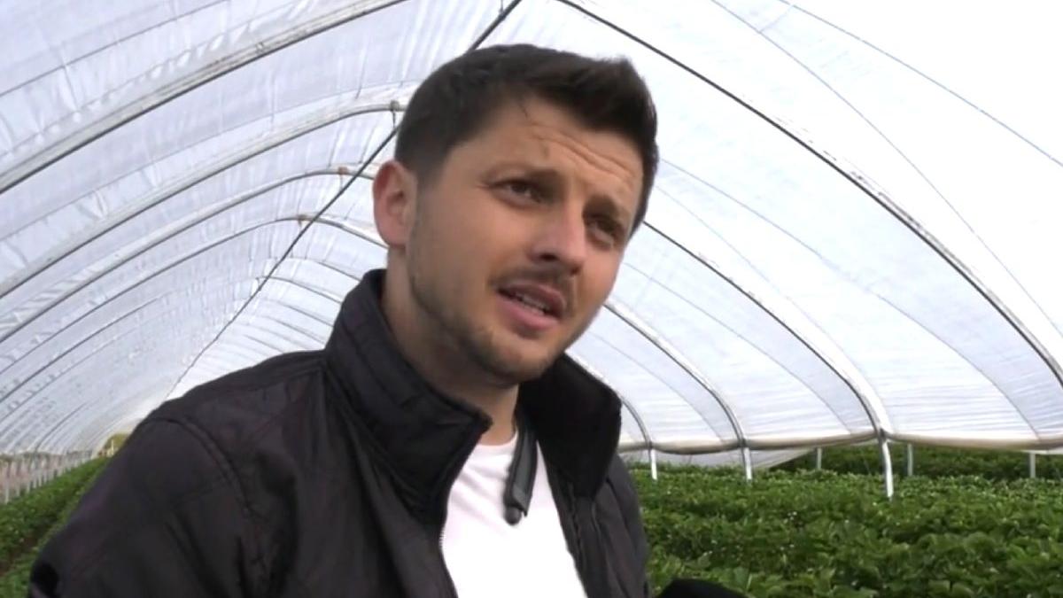 afacere roman dat lovitura capsuni kilogram 40 de lei tarabe