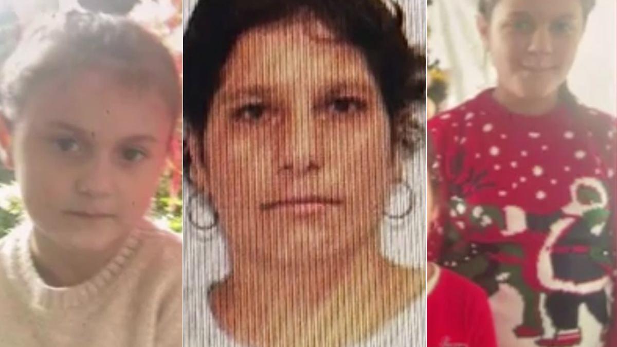 alerta buzau mama fiice disparut padure urs ravagii