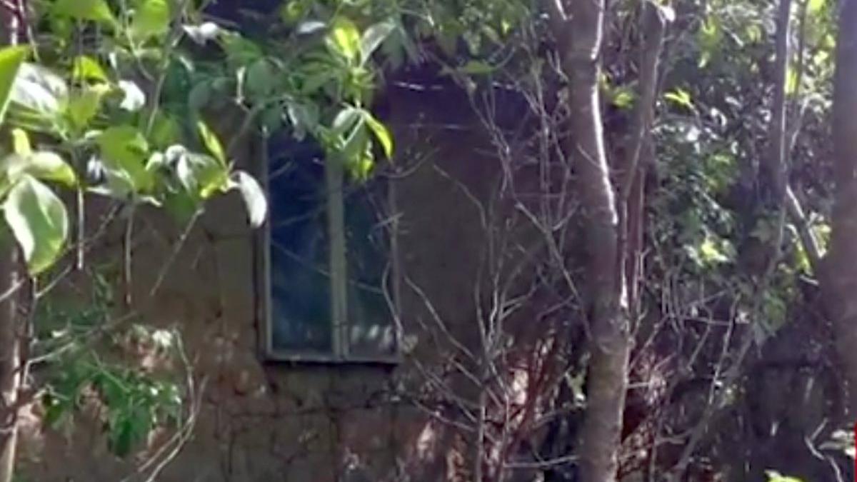 tatal tinut fiica lanturi necroza pus libertate maramures medici psihiatri discernamant