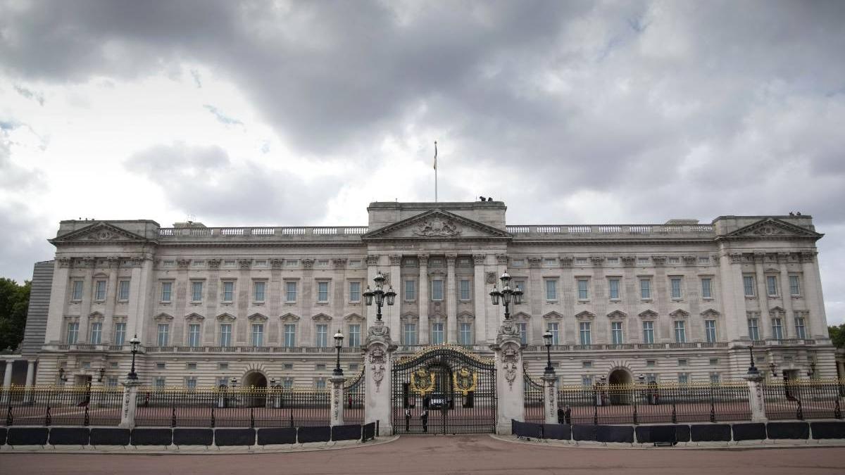 barbat arestat aruncat cartuse arma palatul buckingham