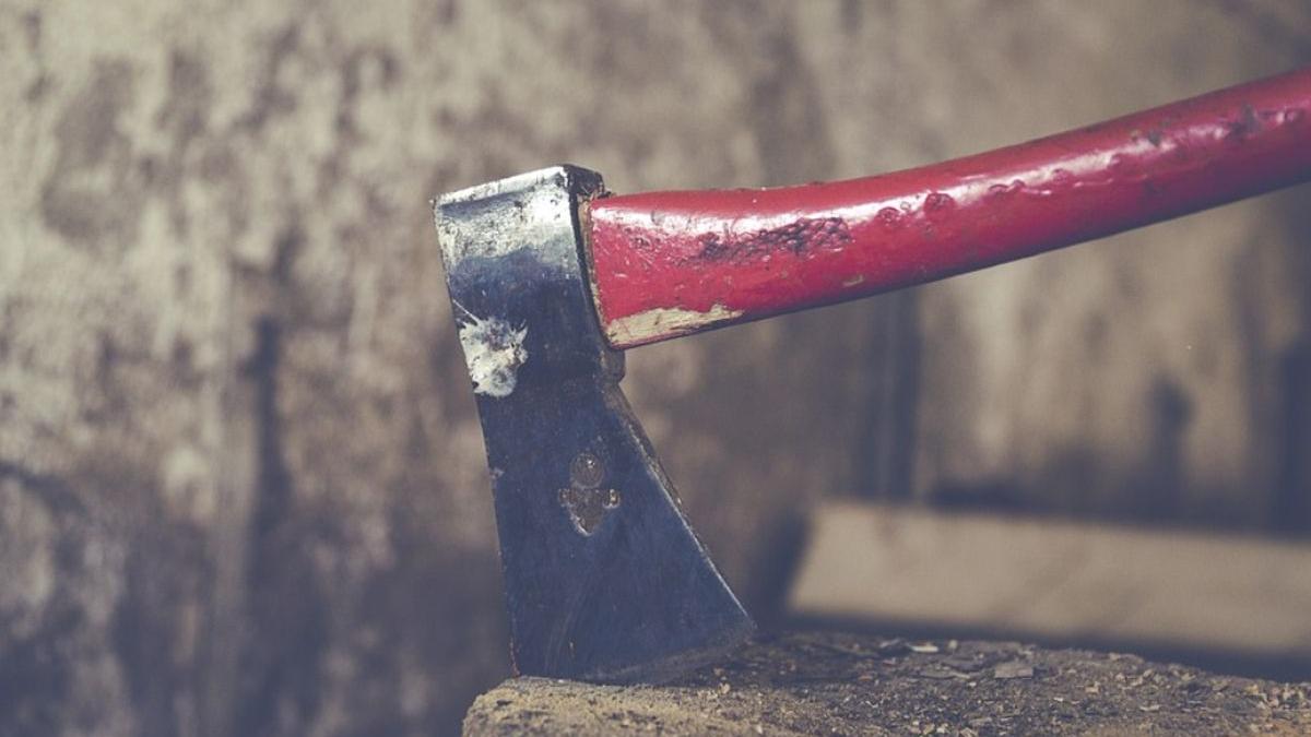 fiul afacerist barlad atac topor