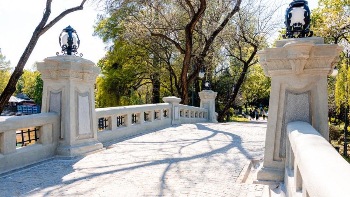 incep tratamente combatere tantari parcursi spatii verzi bucuresti