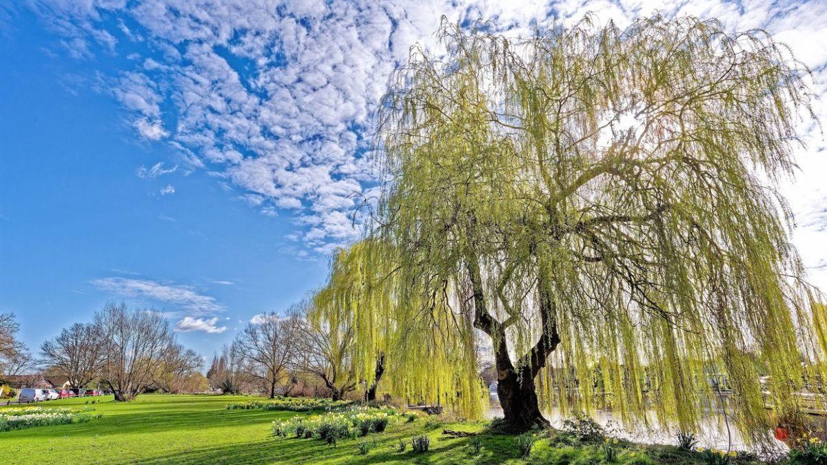 prognoza meteo vremea 1mai 29 mai 2023