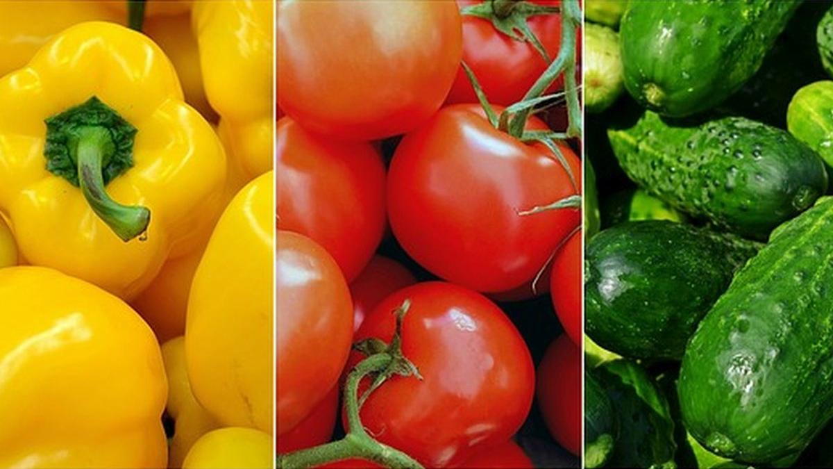 rosii castraveti ardei tarani pline ingrasaminte interzise romania