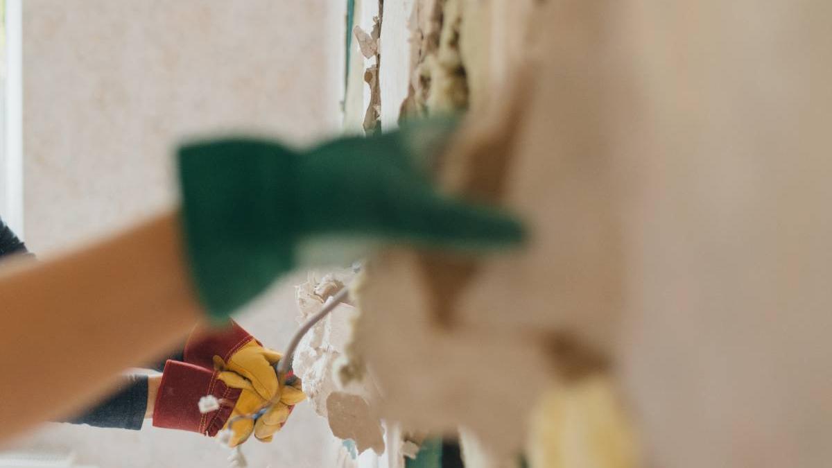 femeie gasit casa pereti calzi serpi colorado