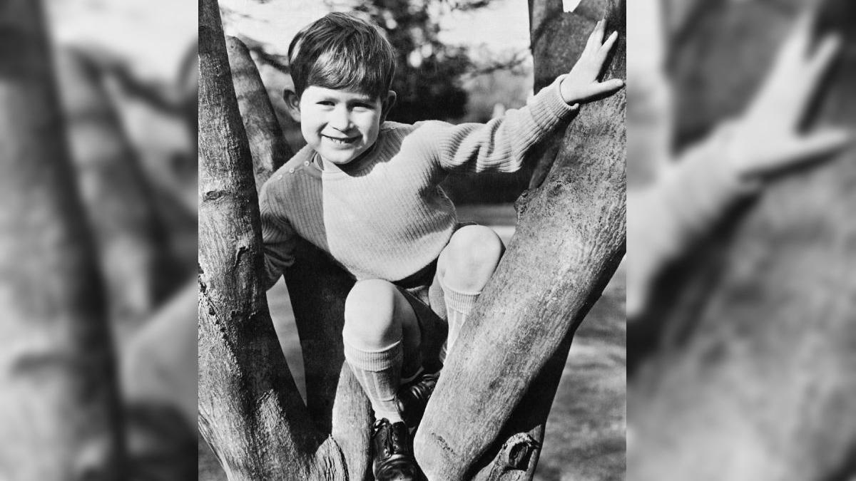 recunosti baietel vesel cocotat copac charles al iii lea