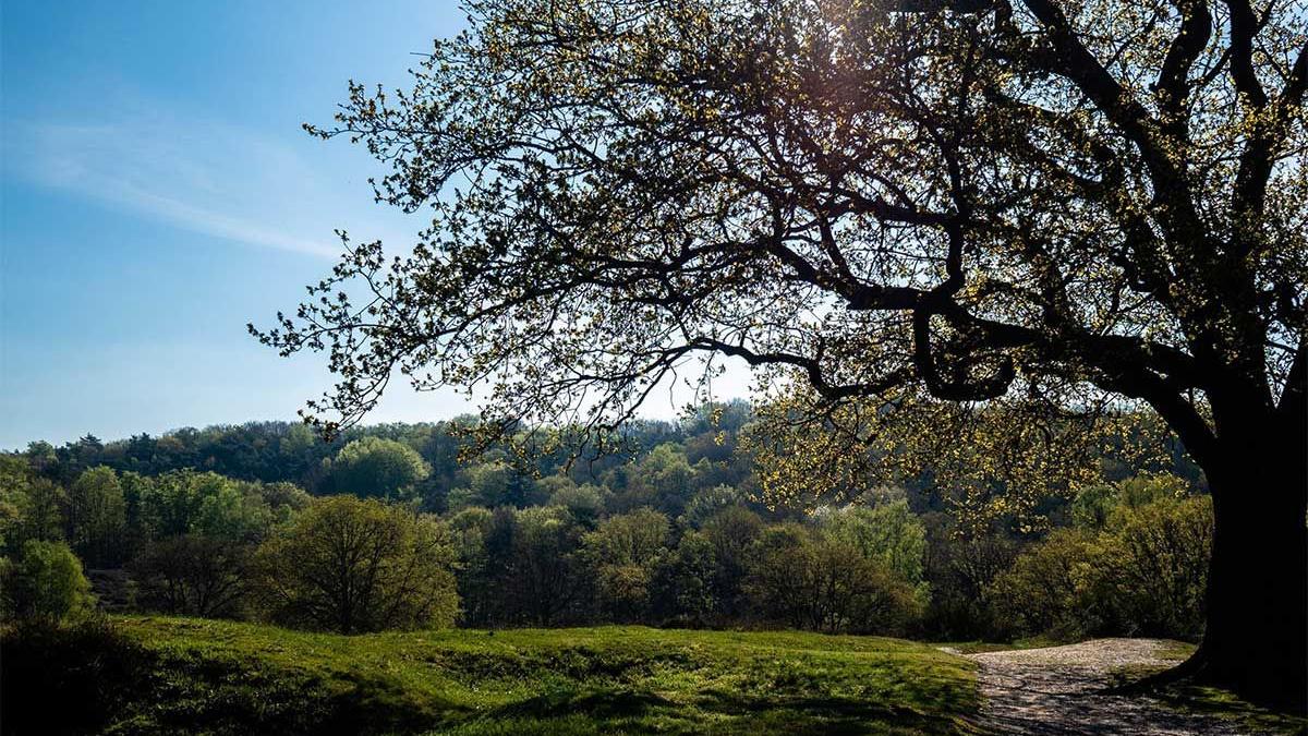 autoritati atrag atentia perioada foarte periculoasa plimbat natura