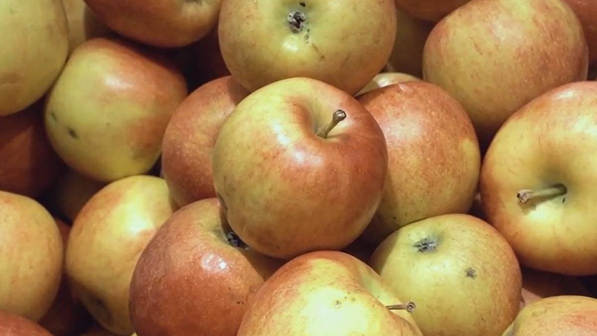 gust pentru sanatate ora de obiceiuri sanatoase si mese delicioase dezvoltam romania sustenabil