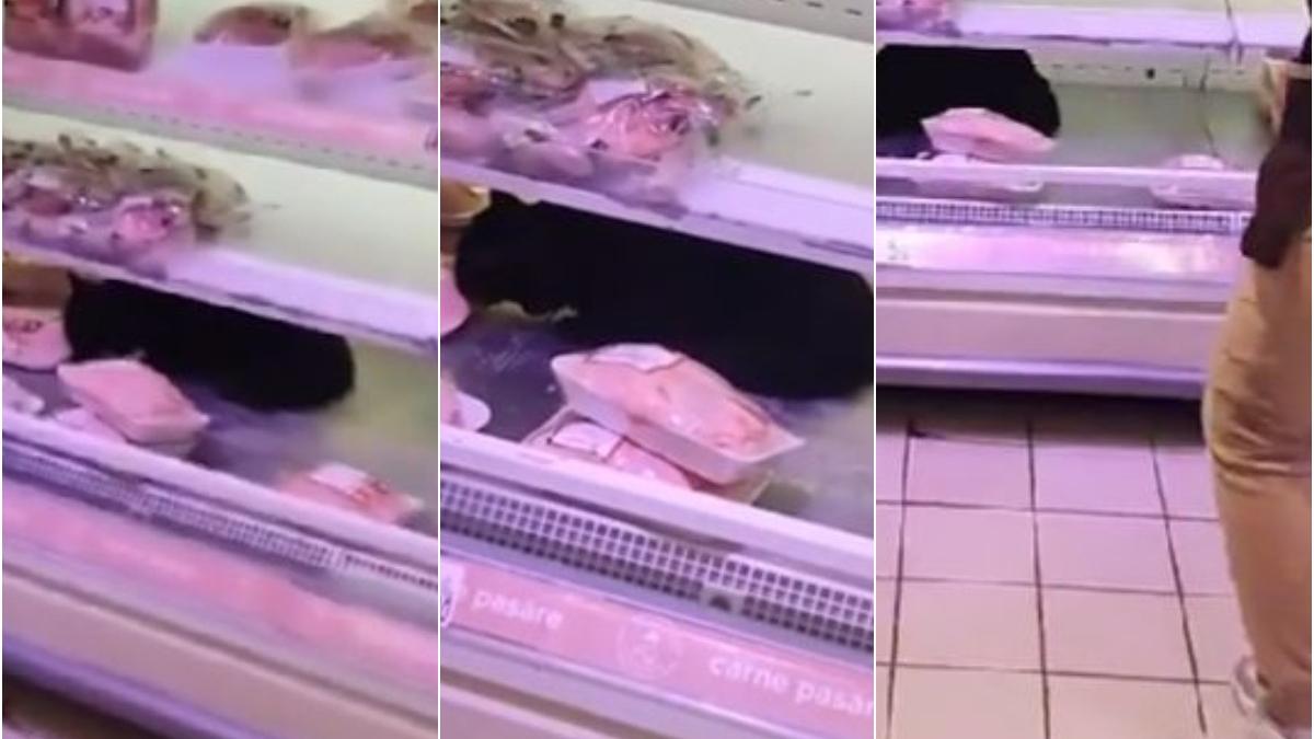 pisica neagra mancat pui vitrina frigorifica vazul clientilor supermarket bucuresti