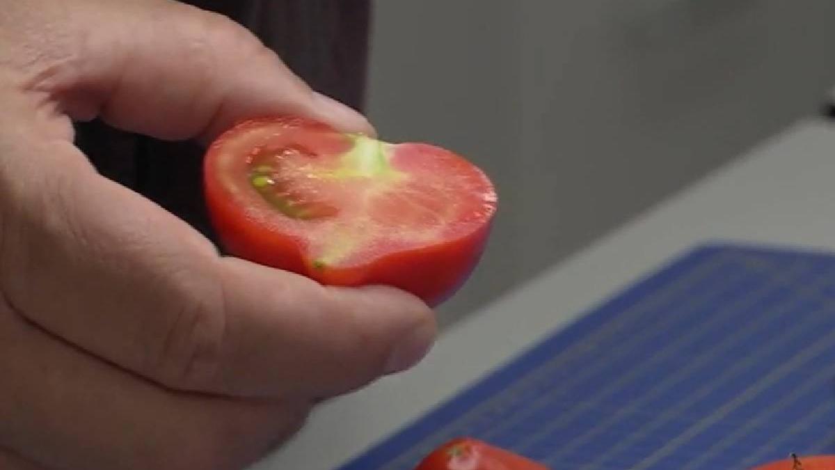 recunoastere rosii coapte fortat