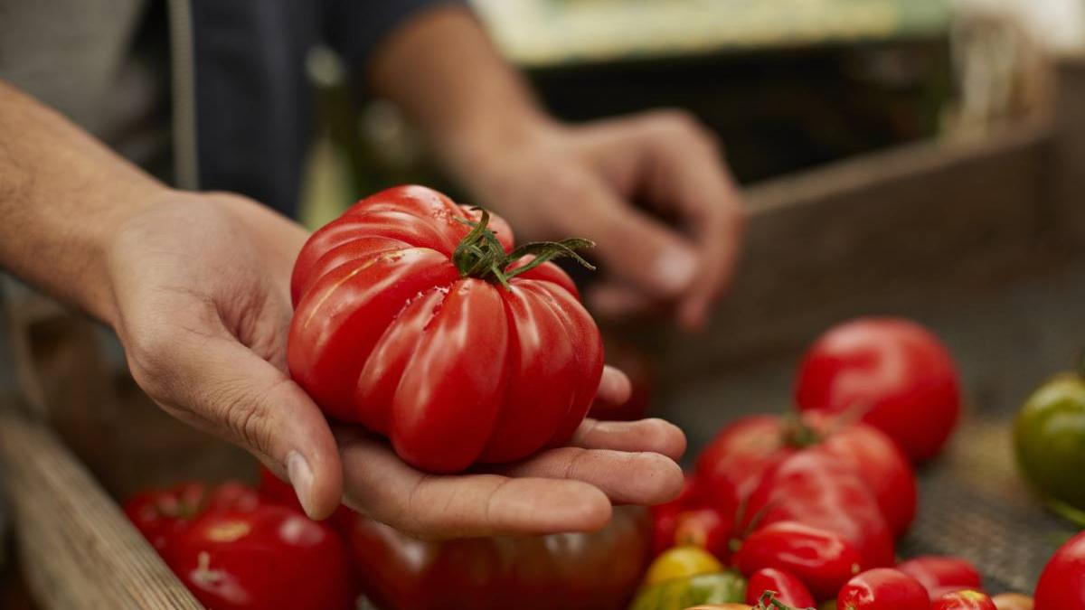 fructe legume producatori cooperative supermarketuri