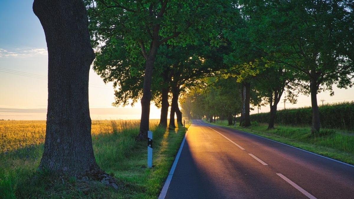 prognoza meteo temperaturi vara 2023