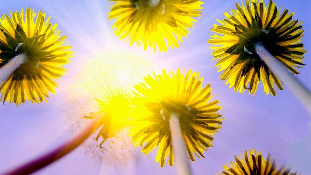 val caldura prognoza meteo din 15 mai