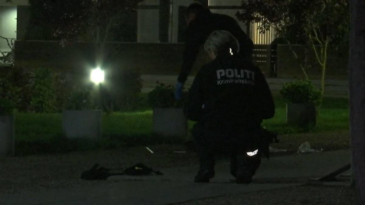 copil opt ani implorat tata omorat mama danemarca