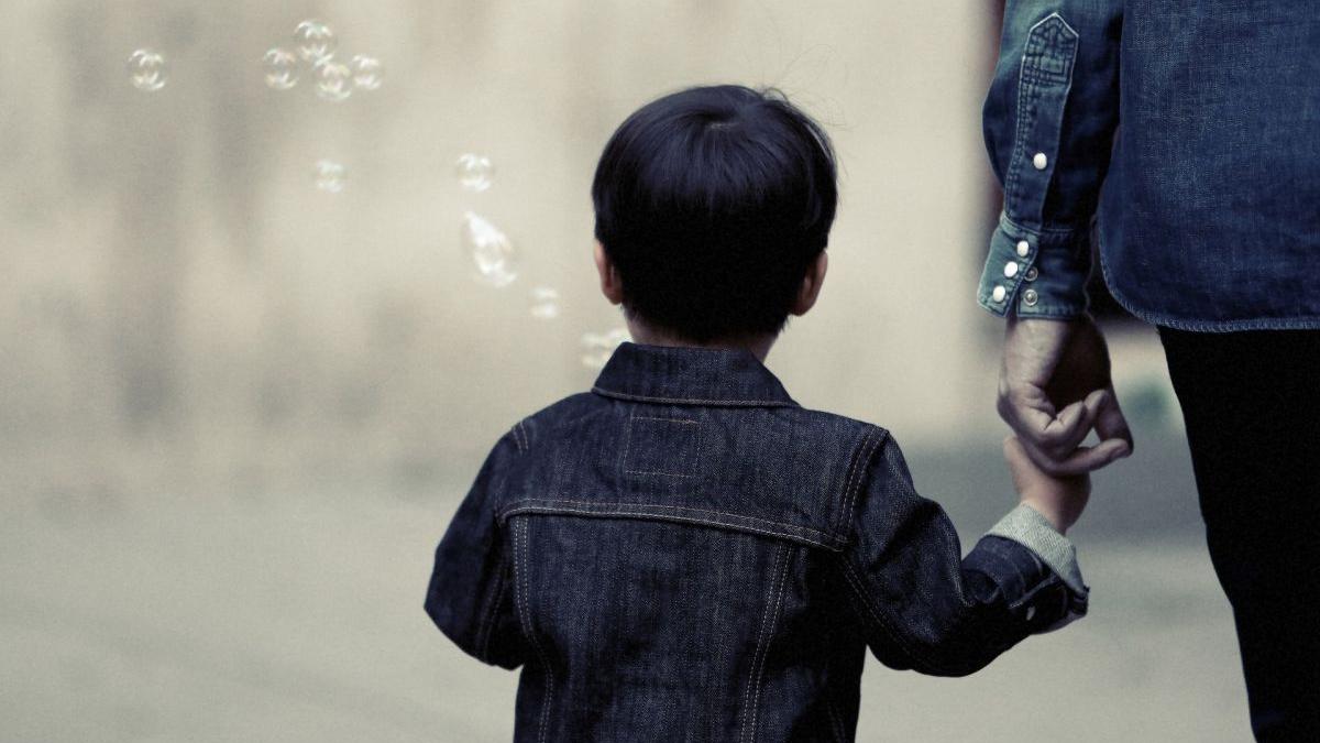 forma finala transmisa promulgare lege organizare activitate prevenire separare copil familie