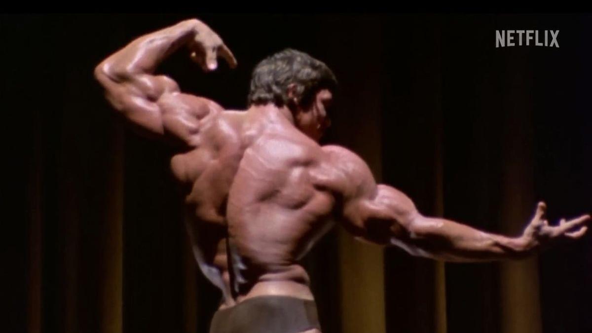 legatura medicament fabricat romania muschi arnold schwarzenegger