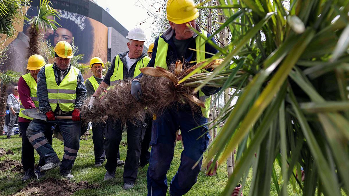 primaria capitalei palmieri unirii ilegan robert negoita