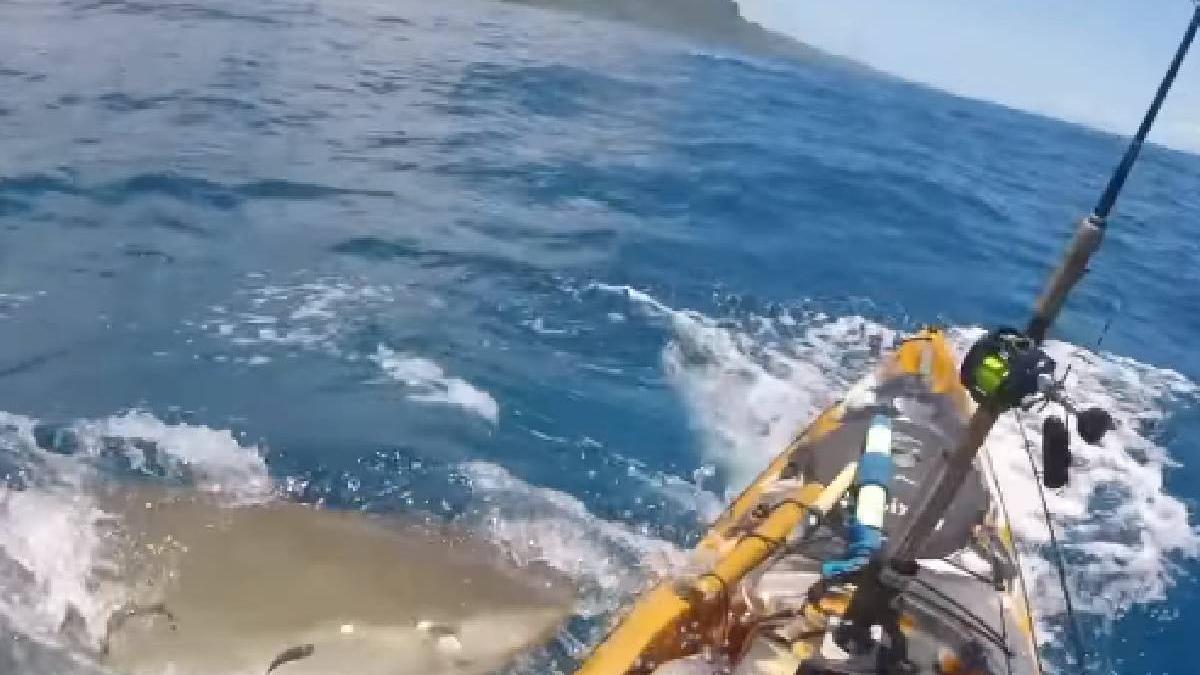 moment barca barbat pescuit atacata rechin